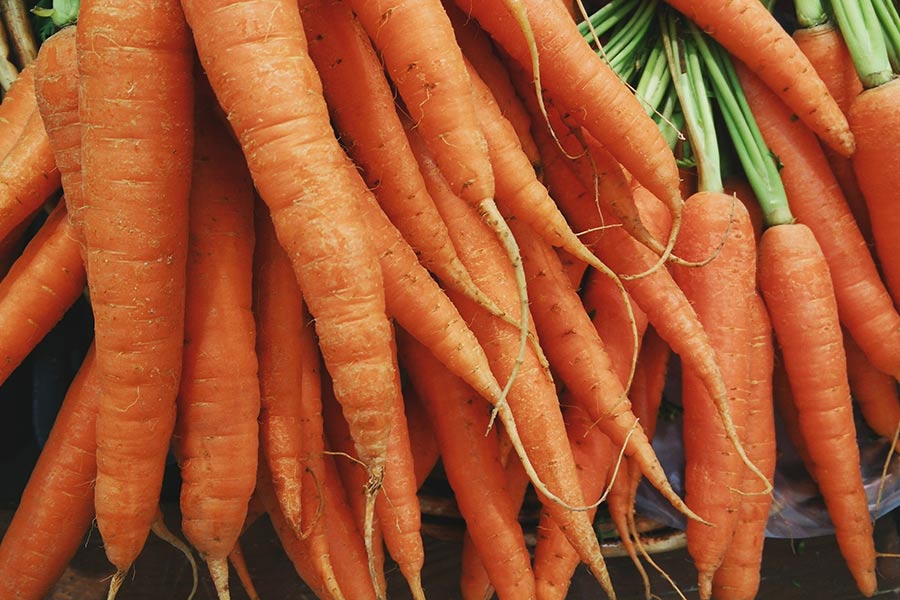 how to grow carrots