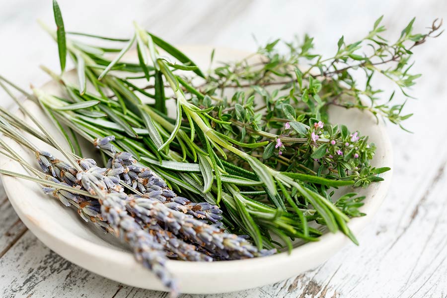 drying herbs